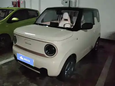 Geely Galaxy Panda 2024