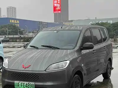 Wuling Motors Hongguang New Energy 2025