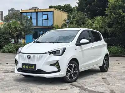 Changan Benben E-Star 2021