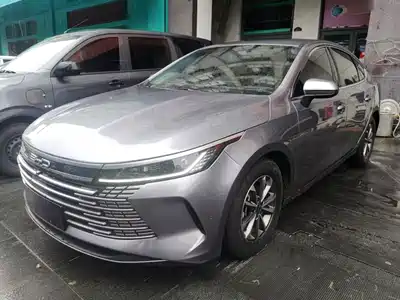 BYD Destroyer 05 2024