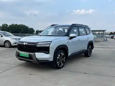 Wuling Motors Starlight 560 NEV 2026