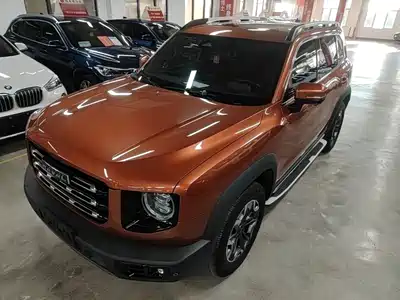 Haval Big Dog 2021