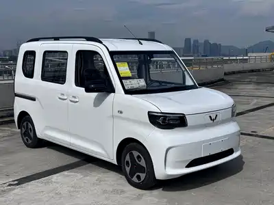 Wuling Motors Zhiguang NEV 2026