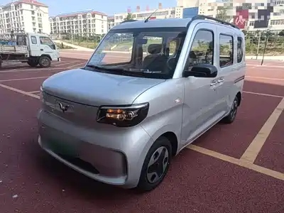 Wuling Motors Zhiguang NEV 2026