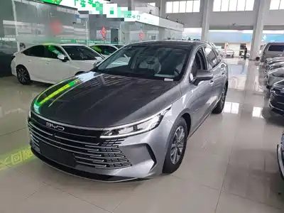 BYD Destroyer 05 2024