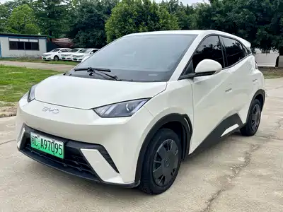 BYD Seagull 2024