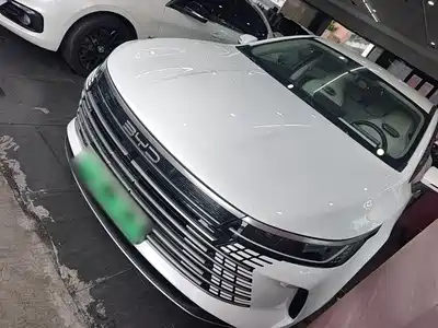 BYD Destroyer 05 2024