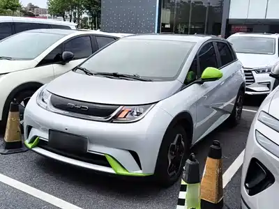 BYD Dolphin 2022