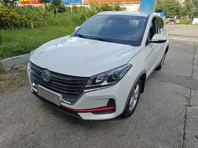Dongfeng Fengguang Fengon 500 2021