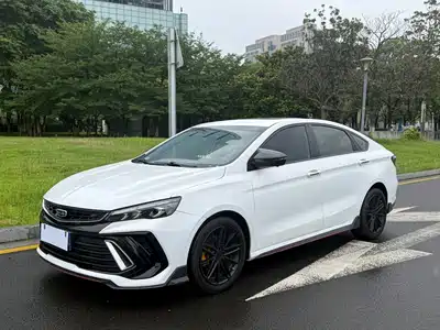 Geely Binrui 2023