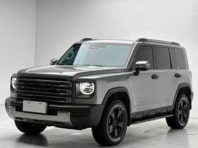 Haval Meng Long NEV 2025