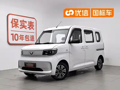 Wuling Motors Zhiguang NEV 2025