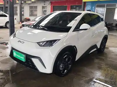 BYD Seagull 2025