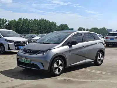 BYD Dolphin 2024