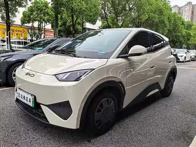 BYD Seagull 2025