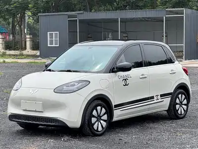 Wuling Motors Bingo 2025