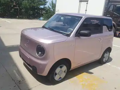 Geely Galaxy Panda 2023