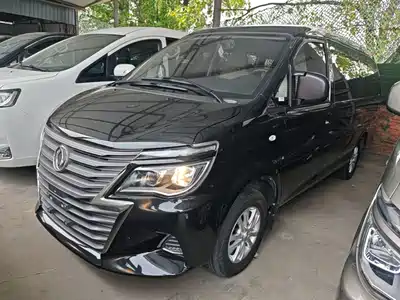 Dongfeng Fengxing Lingzhi 2020