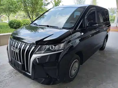 BAW (Beijing Automobile Works) Ruisheng Ace M7 2025