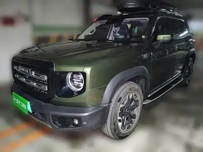 Haval Big Dog 2021