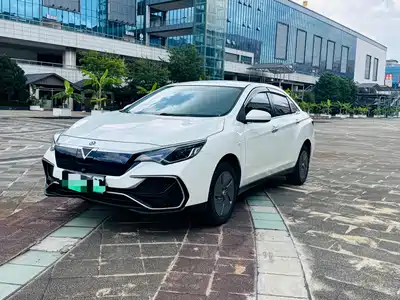 Venucia D60EV 2023