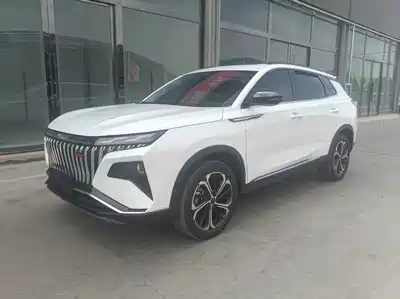 Dongfeng Aeolus Haoji 2024