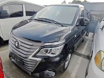 Dongfeng Fengxing Lingzhi 2024