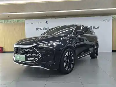 BYD Tang New Energy 2024