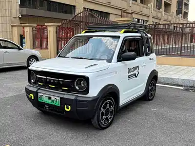 Geely Galaxy Panda 2025