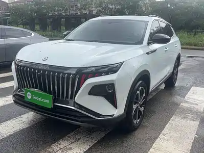 Dongfeng Aeolus Haoji 2024