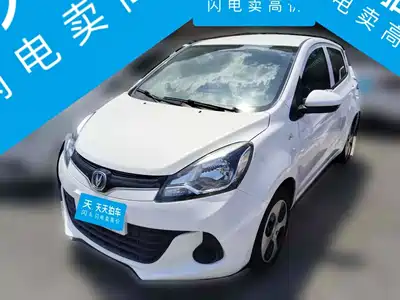 Changan Benben E-Star 2021