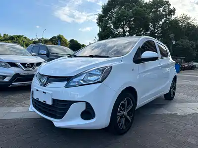 Changan Benben E-Star 2021