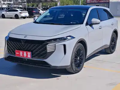 Venucia Big V 2022