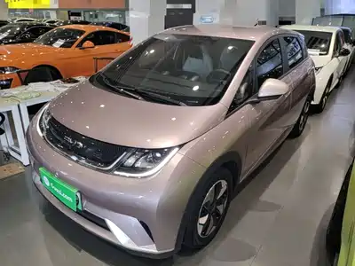 BYD Dolphin 2024