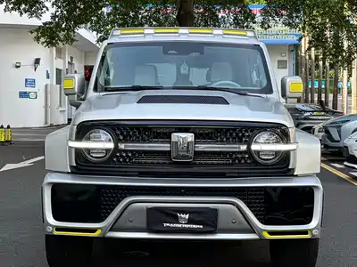 Crossboundary Auto Co-created Tank 300 2022