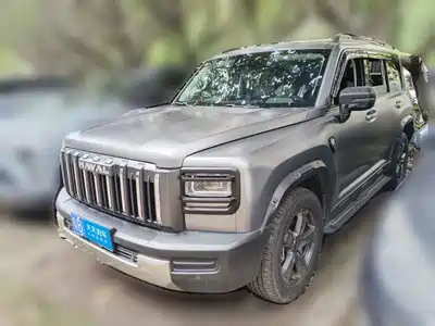 Haval Menglong 2025
