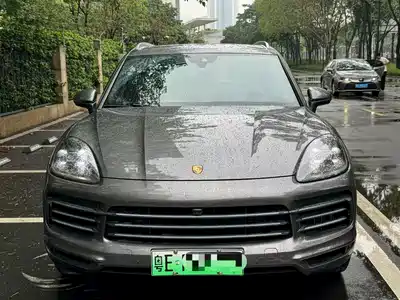Porsche Cayenne New Energy 2019
