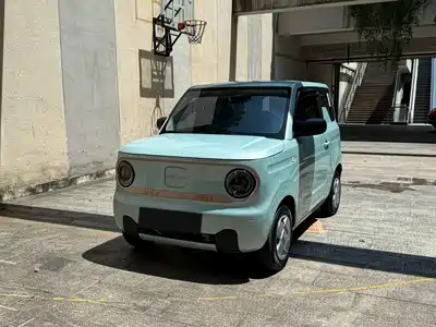 Geely Galaxy Panda 2024