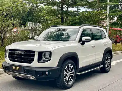 Haval Big Dog 2020