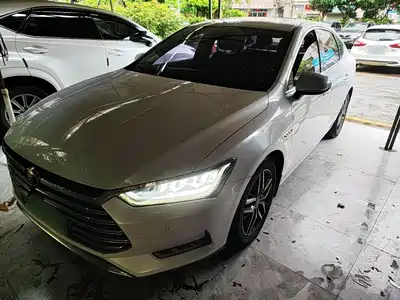 BYD Qin Pro New Energy 2019