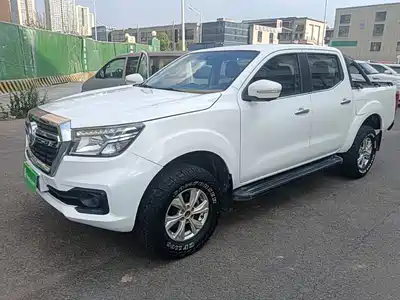 Dongfeng Rich 6 2019