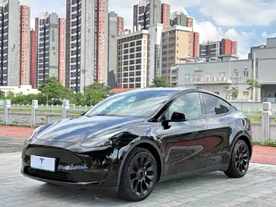 Tesla Model Y 2021