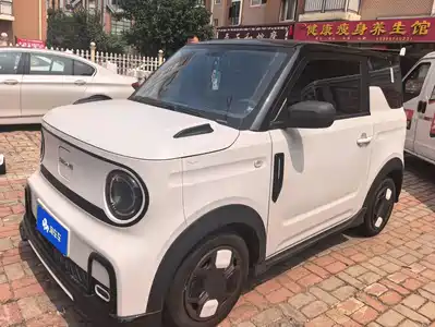 Geely Galaxy Panda 2025