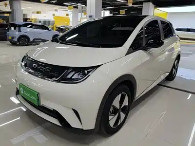 BYD Dolphin 2024