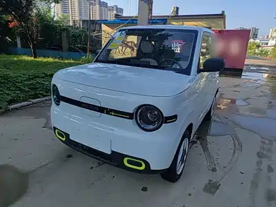 Geely Galaxy Panda 2026