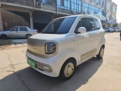 Besturn Pony 2024