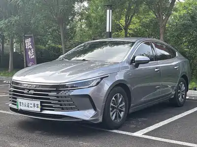 BYD Destroyer 05 2024