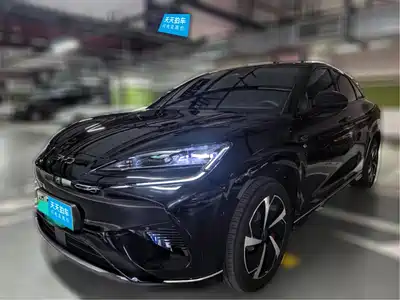 BYD Sealion 07 EV 2024