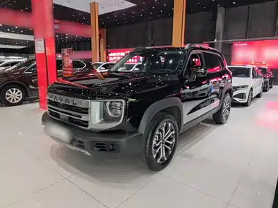 Haval Big Dog 2024