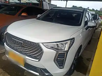 Haval First Love 2021
